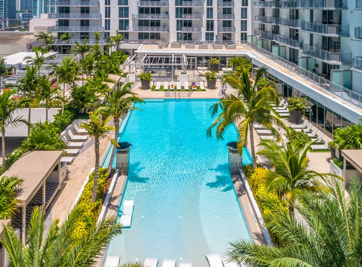 A large swimming pool surrounded by palm trees and lounge chairs.